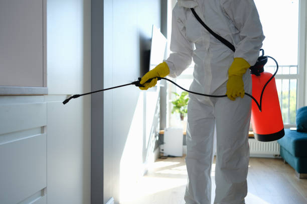 Best Mold Removal and Inspection  in Tiffin, IA